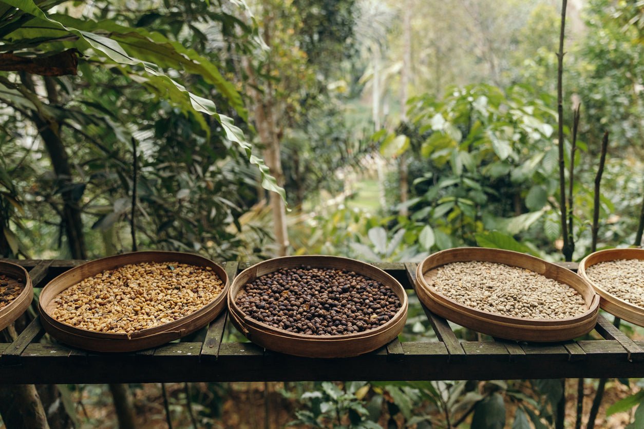 Health and Wellness Coffee - MAD Coffee