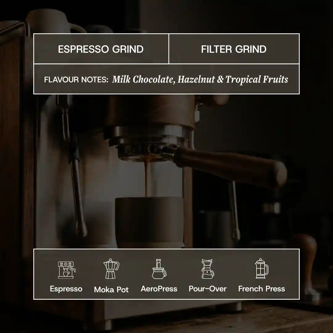 BalanceRitual™ Elevate Functional Coffee - MAD Coffee, MAD Coffee