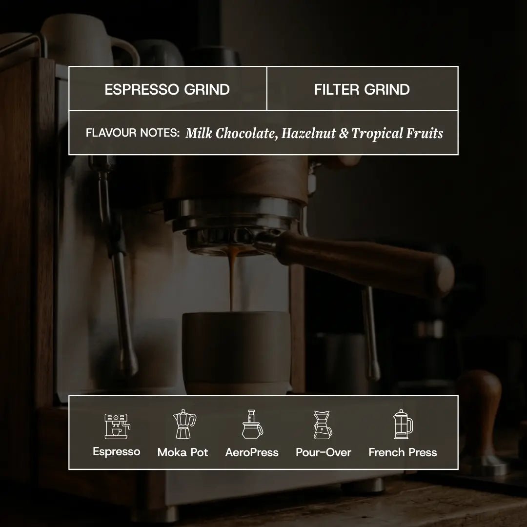 BalanceRitual™ Elevate Functional Coffee - MAD Coffee, MAD Coffee